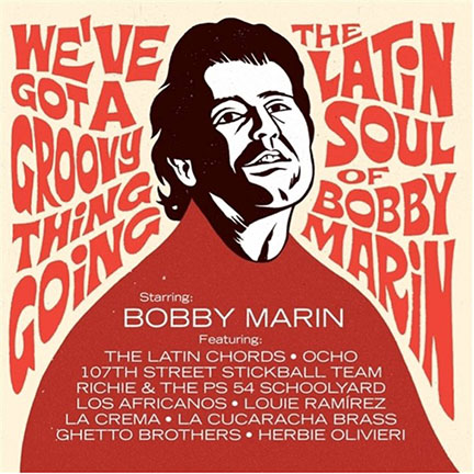 WE'VE GOT A GROOVY THING GOING - THE LATIN SOUL OF BOBBY MAR?N - VARIOS ARTISTAS - VAMPISOUL (LP)